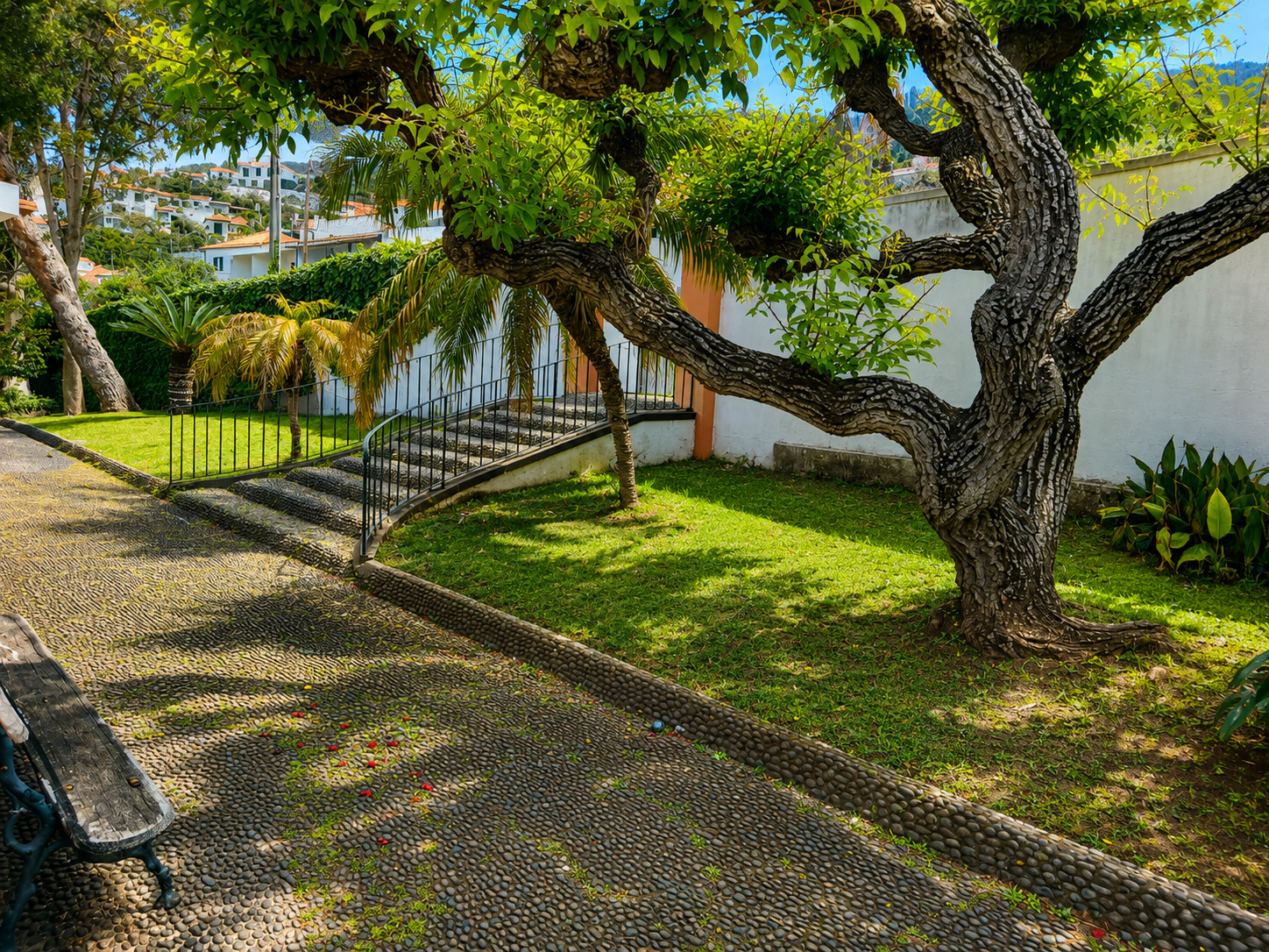 Garden with a stone path