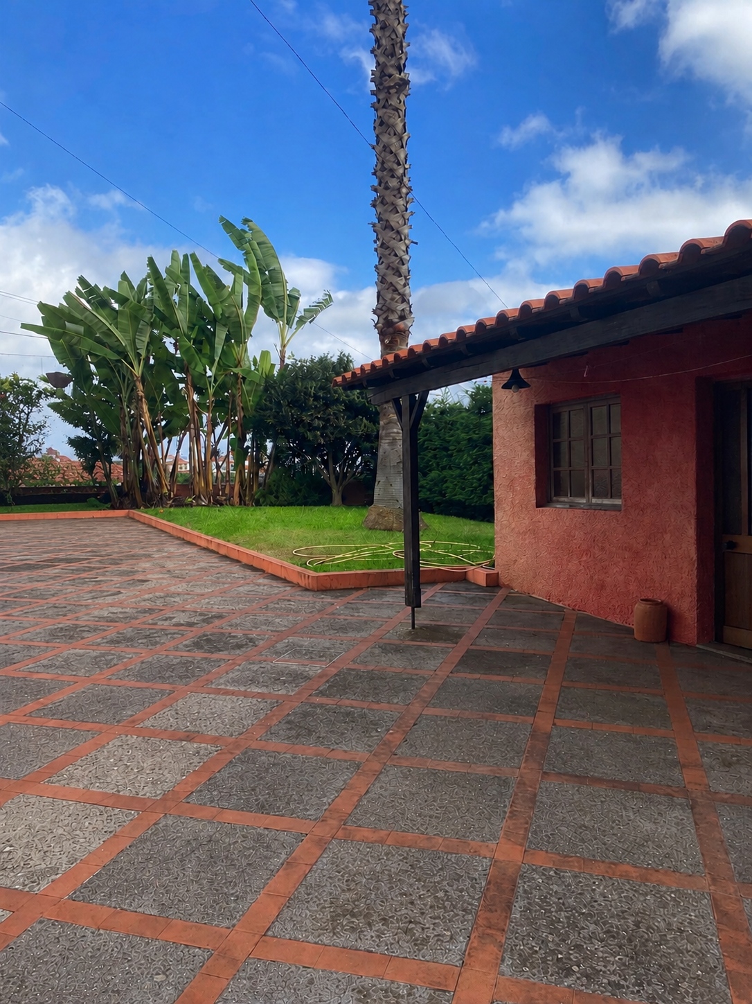 Patio and tropical garden